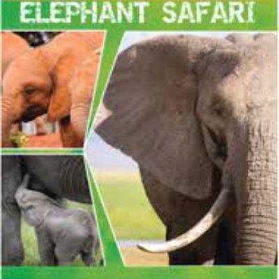ELEPHANT SAFARI