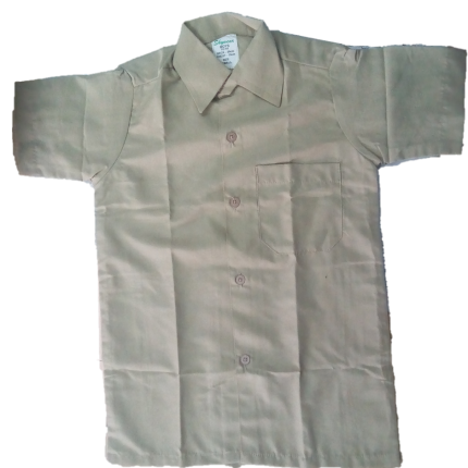 Beige Short Sleeved Shirt