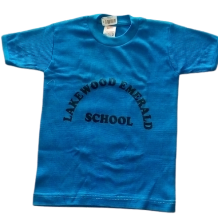 Ocean blue t-shirt with logo (Lakewood Emerald School)