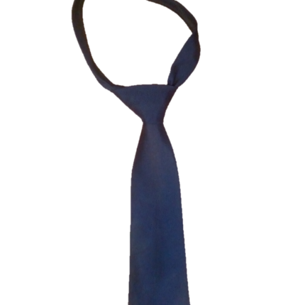 Plain Navy blue NeckTie
