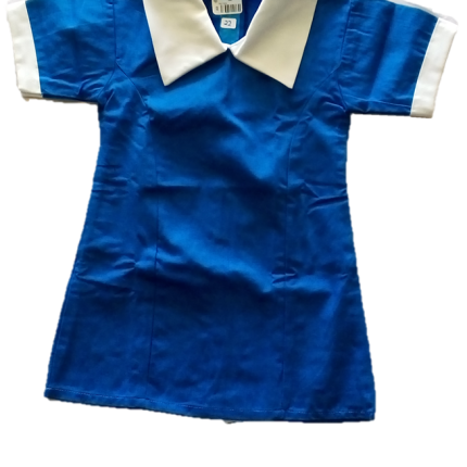 Royal blue with white collar dress