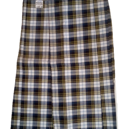 Navy blue and yellow bedi-checked Skirt