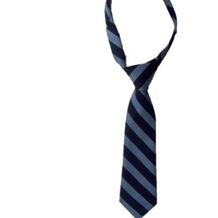 Thick Navy & Sky blue striped Necktie