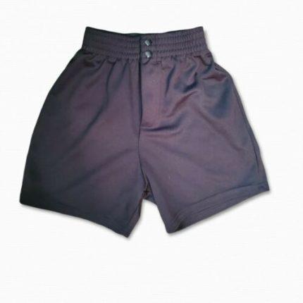 Purple P.E Shorts