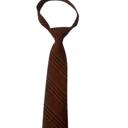 Brown bedi checked necktie
