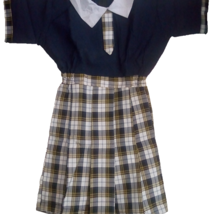 Navy blue and yellow bedi-checked dress