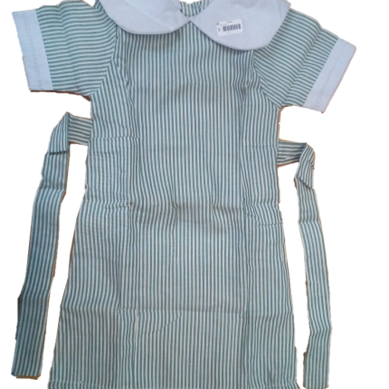 Lined White & Green Dress