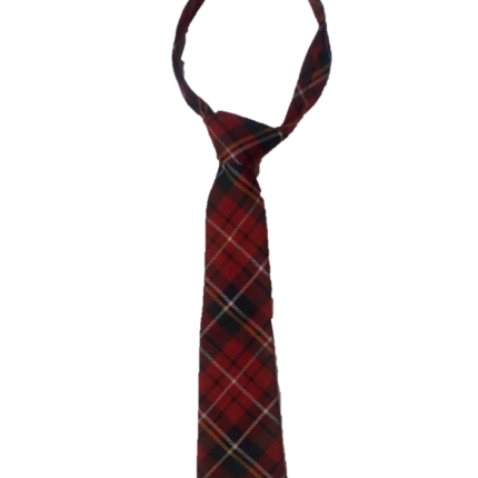 Red and black Bedi-checked tie